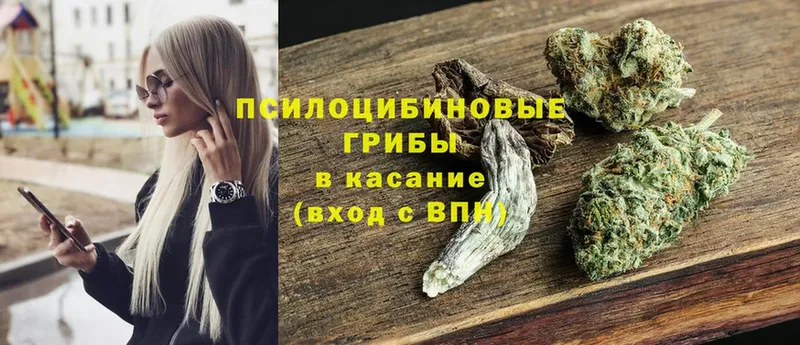 Псилоцибиновые грибы Magic Shrooms  Балтийск 